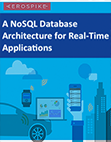 A NoSQL Database Architecture for Real-Time Applications