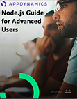 Node.js Guide for Advanced Users